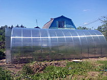 Теплица 3*8